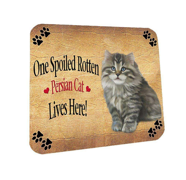 Persian Spoiled Rotten Cat Coasters Set of 4