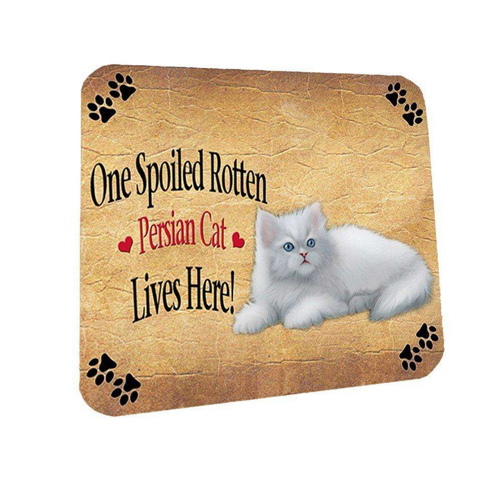Persian Spoiled Rotten Cat Coasters Set of 4