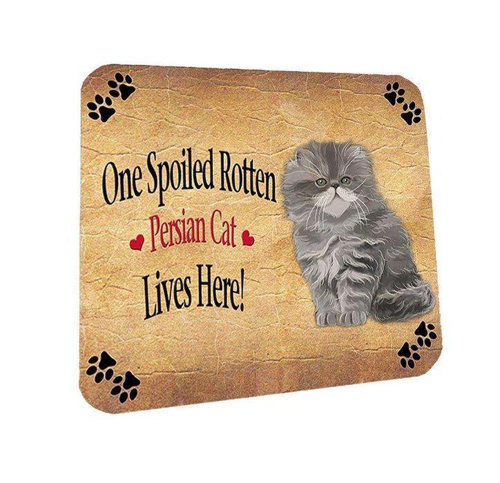 Persian Spoiled Rotten Cat Coasters Set of 4