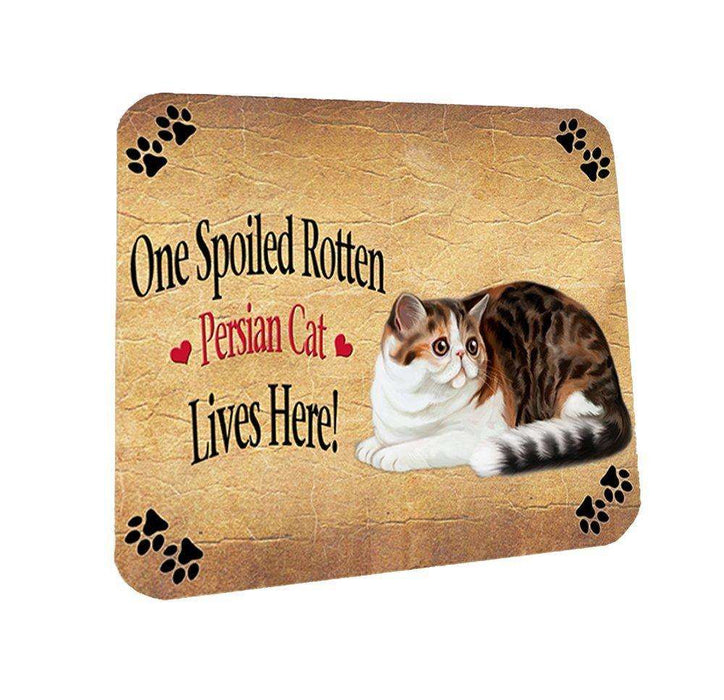 Persian Spoiled Rotten Cat Coasters Set of 4