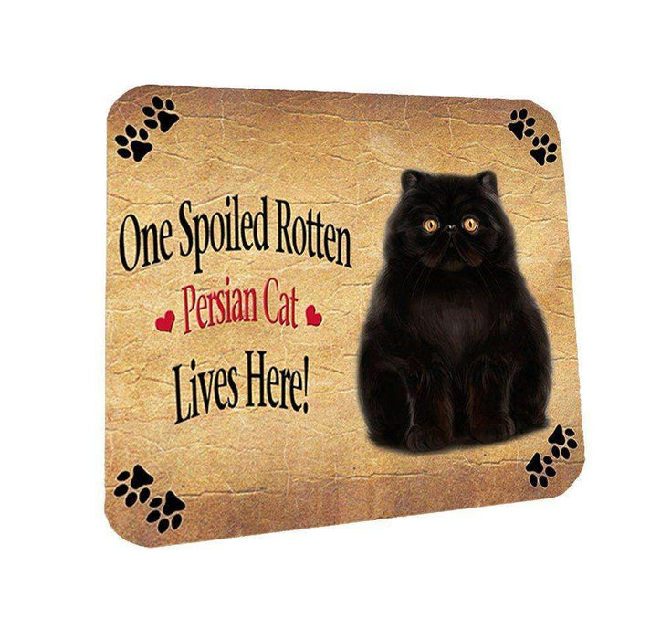 Persian Spoiled Rotten Cat Coasters Set of 4