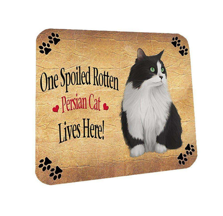 Persian Spoiled Rotten Cat Coasters Set of 4