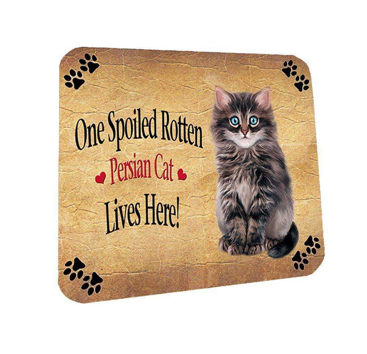 Persian Spoiled Rotten Cat Coasters Set of 4