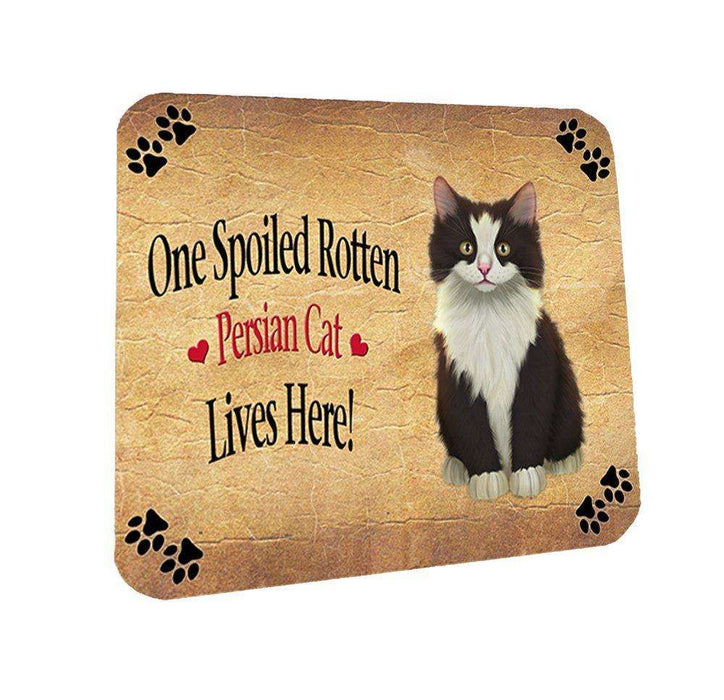 Persian Spoiled Rotten Cat Coasters Set of 4