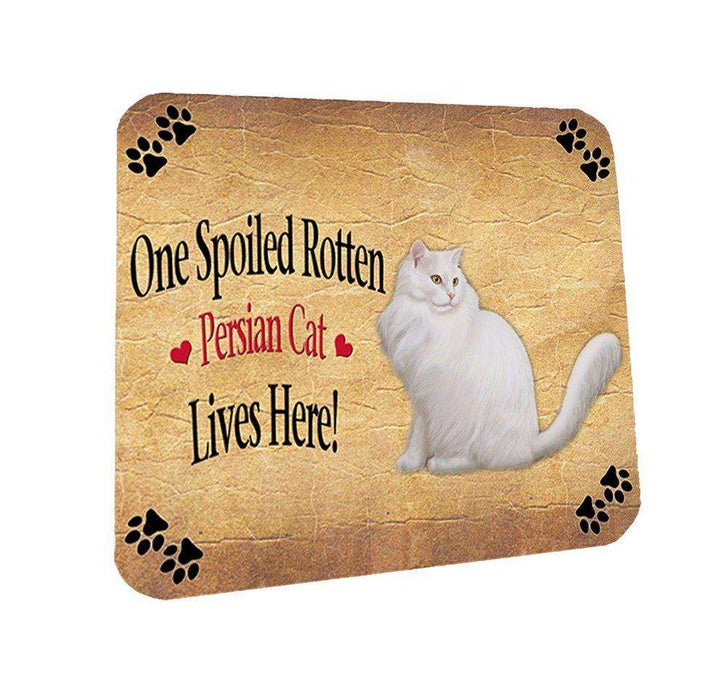 Persian Spoiled Rotten Cat Coasters Set of 4
