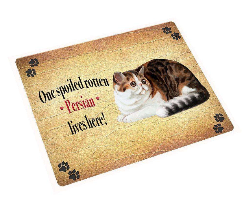 Persian Spoiled Rotten Cat Large Refrigerator / Dishwasher Magnet 11.5" x 17.6"