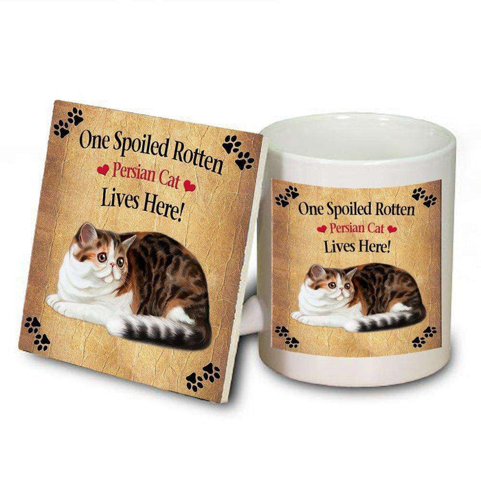 Persian Spoiled Rotten Cat Mug and Coaster Set