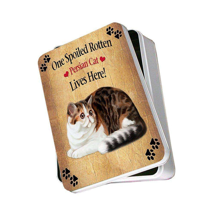 Persian Spoiled Rotten Cat Photo Storage Tin