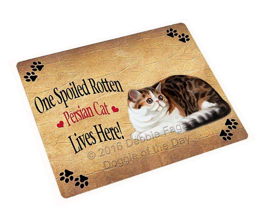 Persian Spoiled Rotten Cat Refrigerator Magnet
