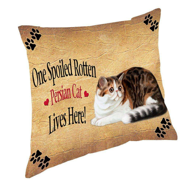 Persian Spoiled Rotten Cat Throw Pillow