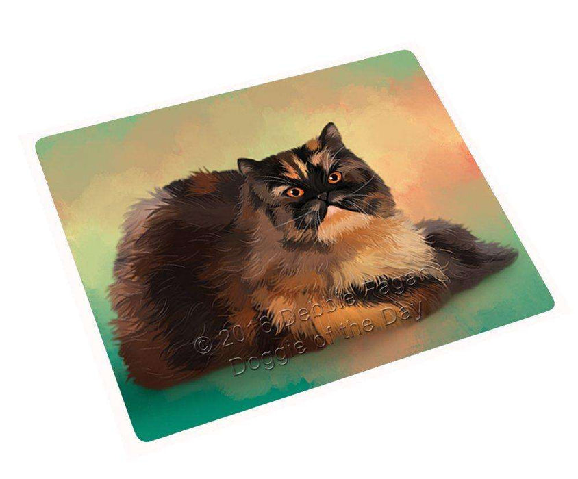 Persian Tortie Cat Blanket BLNKT48216