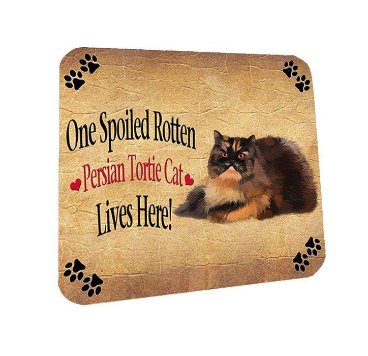 Persian Tortie Spoiled Rotten Cat Coasters Set of 4