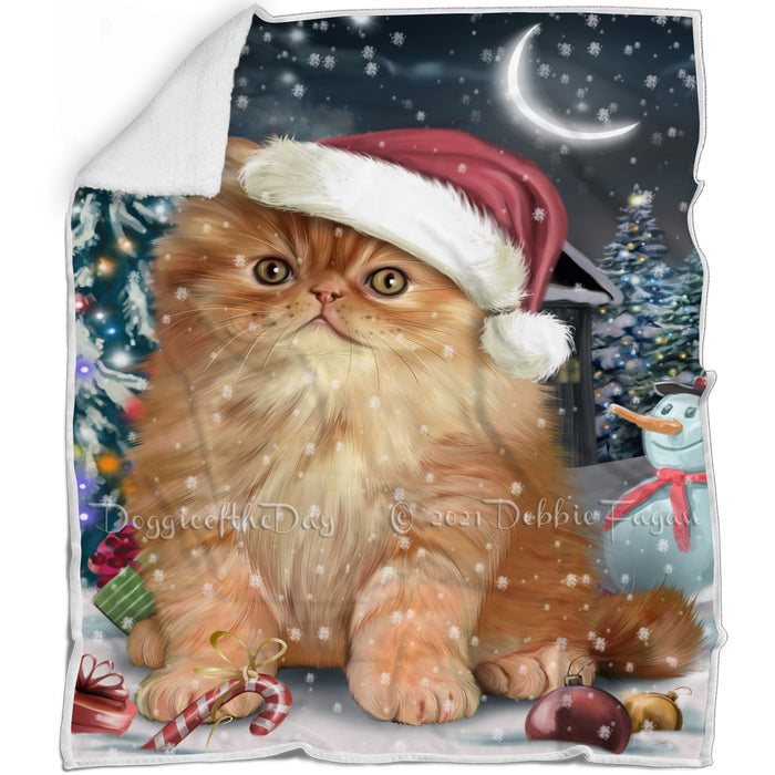 Have a Holly Jolly Christmas Persian Cat in Holiday Background Blanket D201