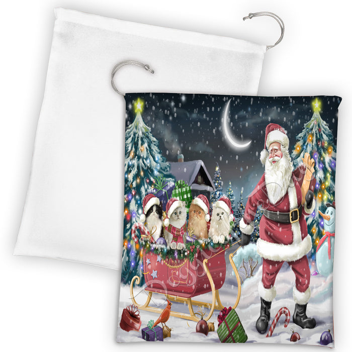 Santa Sled Dogs Christmas Happy Holidays Persian Cats Drawstring Laundry or Gift Bag LGB48721