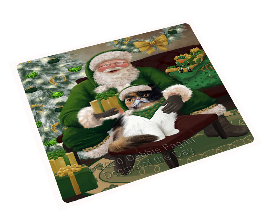 Christmas Irish Santa with Gift and Persian Cat Cutting Board - Easy Grip Non-Slip Dishwasher Safe Chopping Board Vegetables C78391