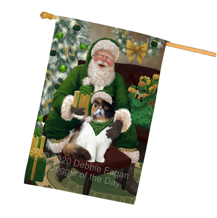 Christmas Irish Santa with Gift and Persian Cat House Flag FLG66718