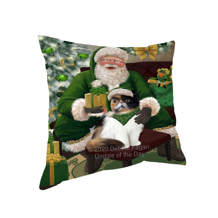 Christmas Irish Santa with Gift and Persian Cat Pillow PIL86868