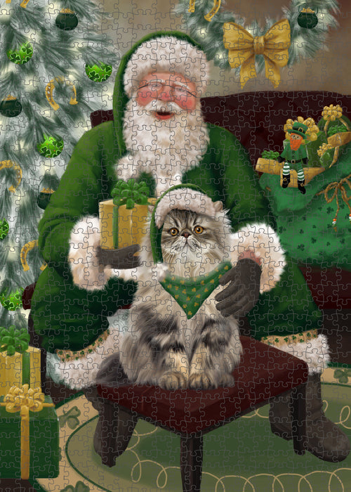 Christmas Irish Santa with Gift and Persian Cat Puzzle with Photo Tin PUZL100492