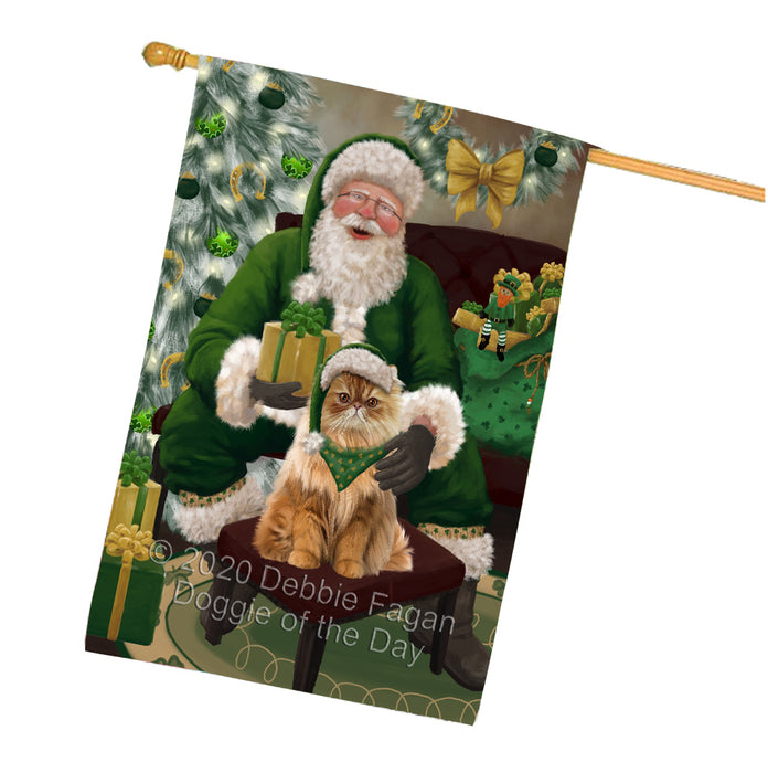 Christmas Irish Santa with Gift and Persian Cat House Flag FLG66721