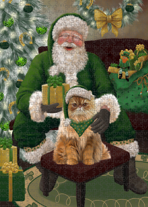 Christmas Irish Santa with Gift and Persian Cat Puzzle with Photo Tin PUZL100496