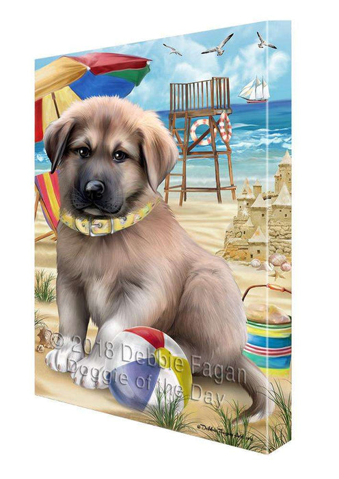 Pet Friendly Beach Anatolian Shepherd Dog Canvas Wall Art CVS65410