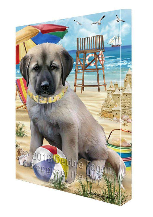 Pet Friendly Beach Anatolian Shepherd Dog Canvas Wall Art CVS65419