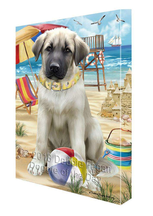 Pet Friendly Beach Anatolian Shepherd Dog Canvas Wall Art CVS65428