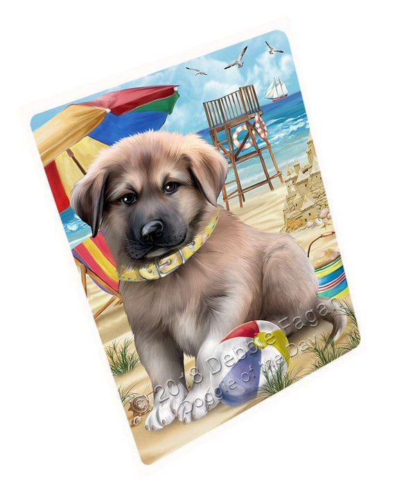 Pet Friendly Beach Anatolian Shepherd Dog Magnet Mini (3.5" x 2") MAG53772