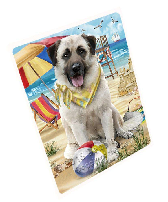 Pet Friendly Beach Anatolian Shepherd Dog Magnet Mini (3.5" x 2") MAG53787