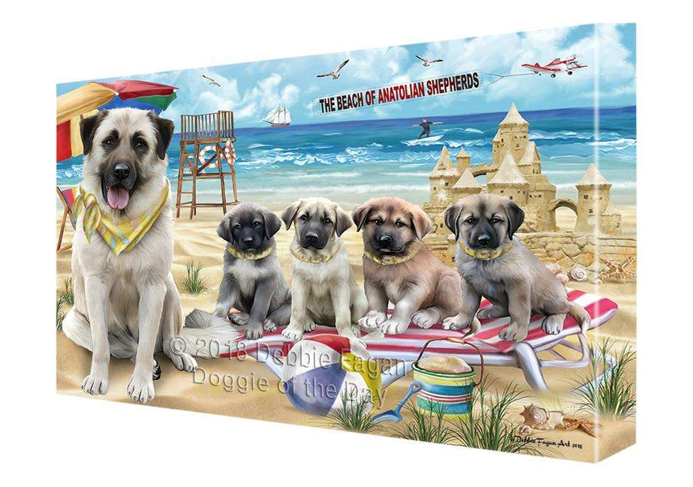 Pet Friendly Beach Anatolian Shepherds Dog Canvas Wall Art CVS65446
