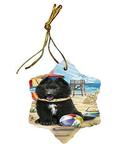 Pet Friendly Beach Belgian Shepherd Dog Star Porcelain Ornament SPOR48603