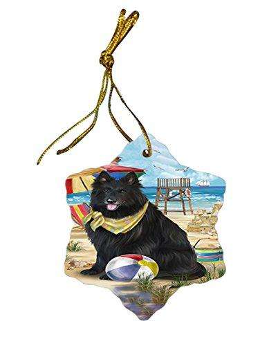 Pet Friendly Beach Belgian Shepherd Dog Star Porcelain Ornament SPOR48606