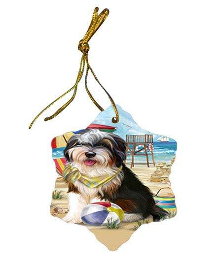 Pet Friendly Beach Bernedoodle Dog Star Porcelain Ornament SPOR49983