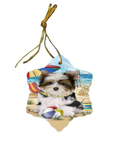 Pet Friendly Beach Biewer Terrier Dog Star Porcelain Ornament SPOR49985