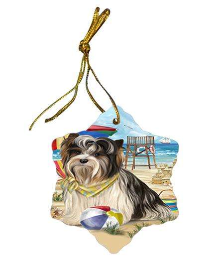 Pet Friendly Beach Biewer Terrier Dog Star Porcelain Ornament SPOR49989