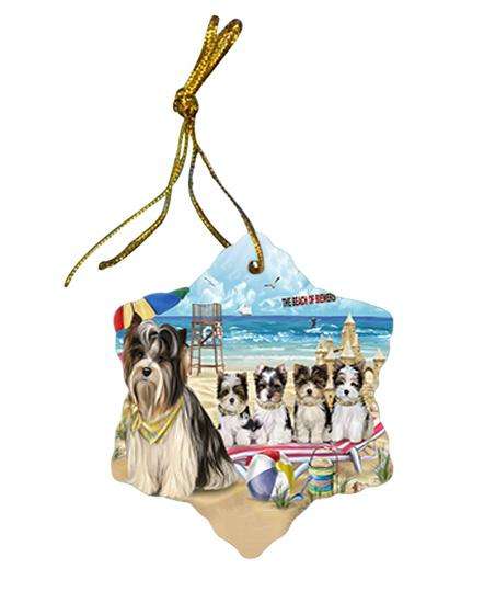 Pet Friendly Beach Biewer Terriers Dog Star Porcelain Ornament SPOR49984