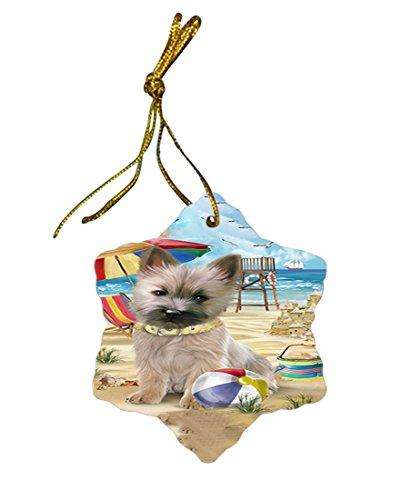 Pet Friendly Beach Cairn Terrier Dog Star Porcelain Ornament SPOR48622