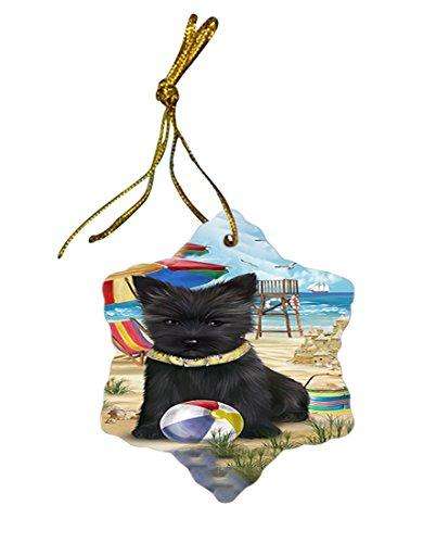Pet Friendly Beach Cairn Terrier Dog Star Porcelain Ornament SPOR48623