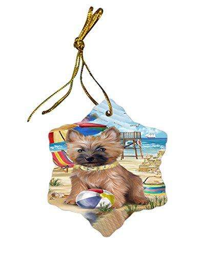 Pet Friendly Beach Cairn Terrier Dog Star Porcelain Ornament SPOR48624