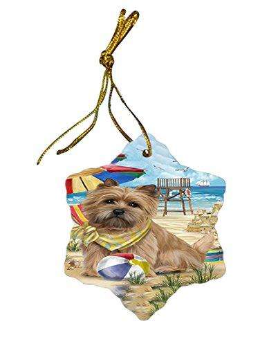 Pet Friendly Beach Cairn Terrier Dog Star Porcelain Ornament SPOR48625