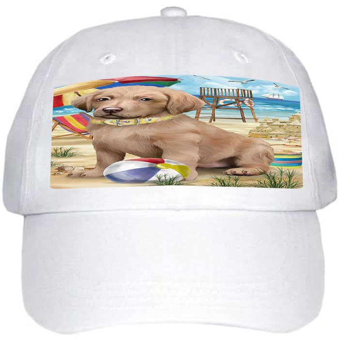 Pet Friendly Beach Chesapeake Bay Retriever Dog  Ball Hat Cap HAT53805