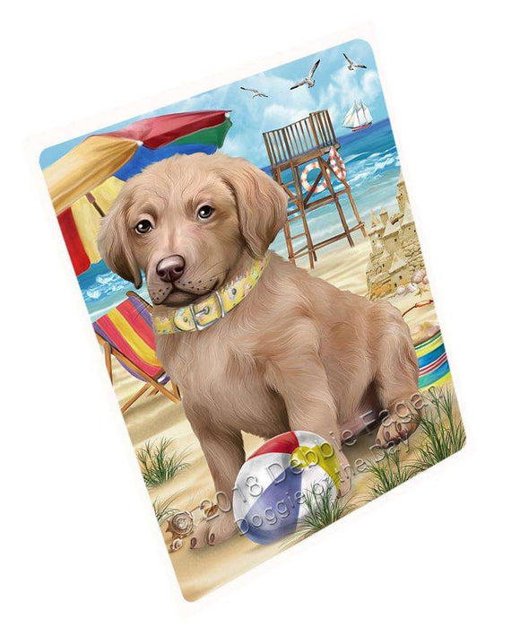 Pet Friendly Beach Chesapeake Bay Retriever Dog Cutting Board C53940