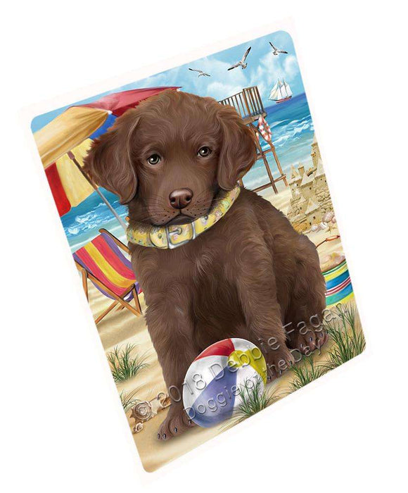Pet Friendly Beach Chesapeake Bay Retriever Dog Magnet Mini (3.5" x 2") MAG53937