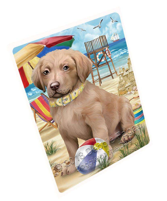 Pet Friendly Beach Chesapeake Bay Retriever Dog Magnet Mini (3.5" x 2") MAG53940