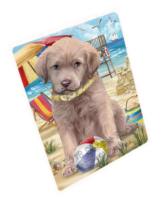 Pet Friendly Beach Chesapeake Bay Retriever Dog Magnet Mini (3.5" x 2") MAG53943