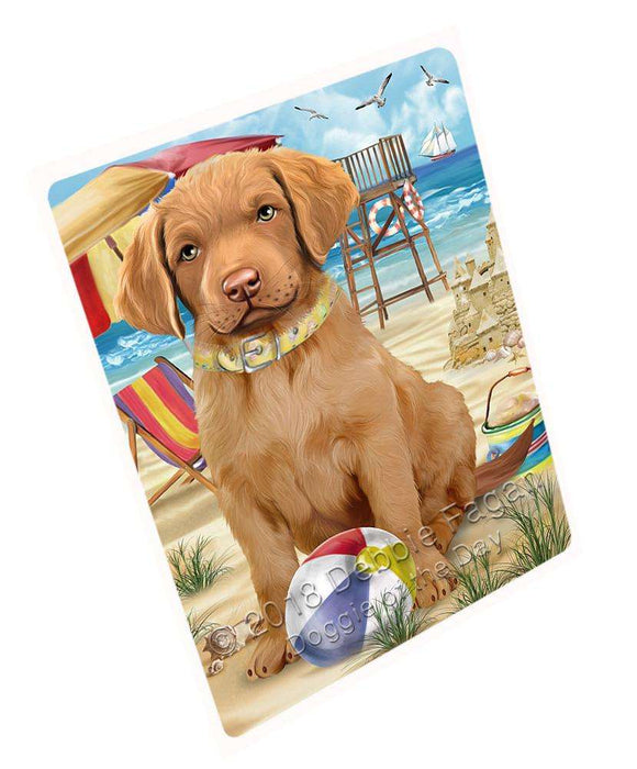 Pet Friendly Beach Chesapeake Bay Retriever Dog Magnet Mini (3.5" x 2") MAG53946