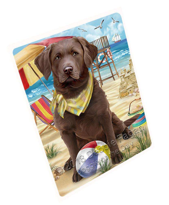 Pet Friendly Beach Chesapeake Bay Retriever Dog Magnet Mini (3.5" x 2") MAG53949