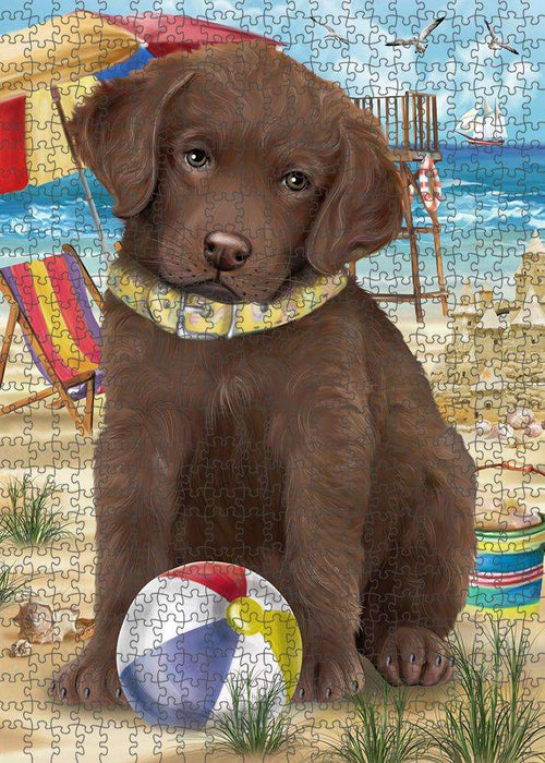 Pet Friendly Beach Chesapeake Bay Retriever Dog Puzzle with Photo Tin PUZL53775