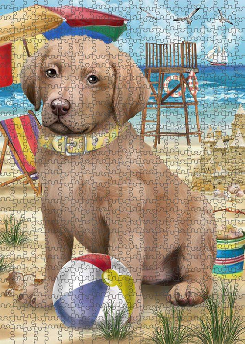 Pet Friendly Beach Chesapeake Bay Retriever Dog Puzzle with Photo Tin PUZL53778