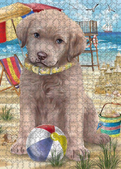 Pet Friendly Beach Chesapeake Bay Retriever Dog Puzzle with Photo Tin PUZL53781